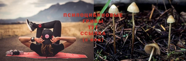 каннабис Медногорск