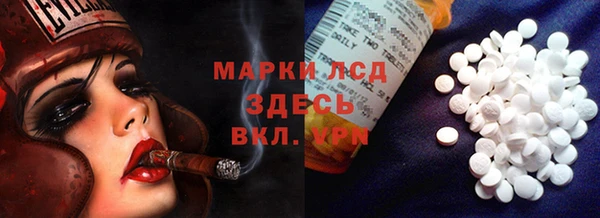 крисы Мегион