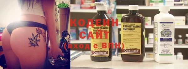 крисы Мегион